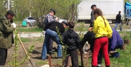 Новые яблони &quotвыросли&quot в одном из скверов Комсомольска-на-Амуре фото предоставлено пресслужбой комсомольского НПЗ