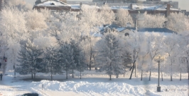 Зима в городе Александра Мельник